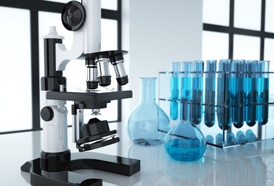 关于草莓APP在线观看