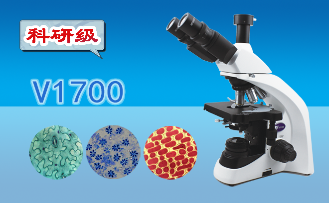 生物草莓视频黄片污的分类和使用方法是什么呢？