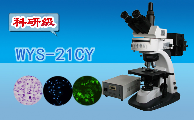荧光草莓视频黄片污技术包括哪几种？
