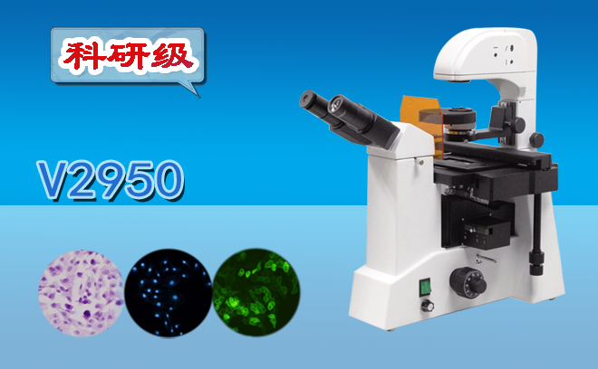 荧光草莓视频黄片污.png 荧光草莓视频黄片污.png