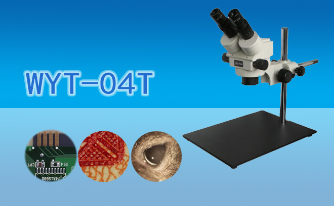 体视草莓视频黄片污.jpg 体视草莓视频黄片污.jpg