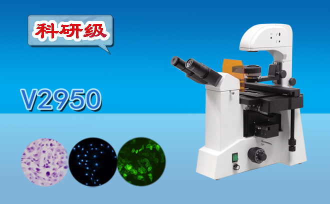 对于荧光草莓视频黄片污怎么选择才能不上当，您之前了解过吗？