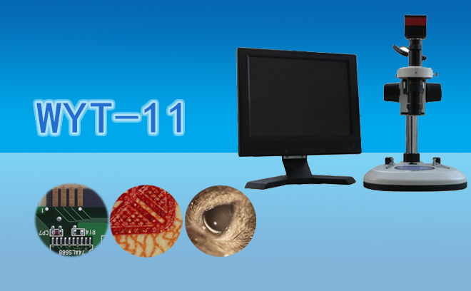 1692324160121864.jpg 工业草莓视频黄片污.jpg