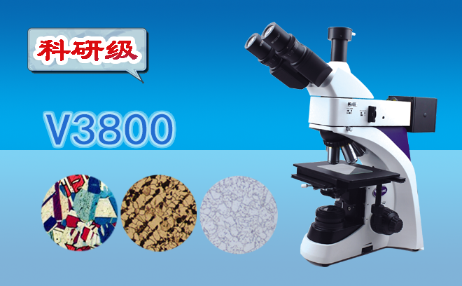 1697686579865913.png 金相草莓视频黄片污.png